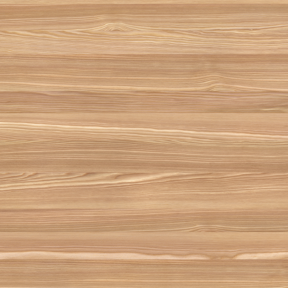 Larch
